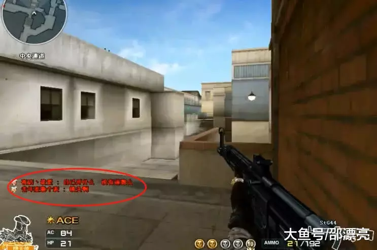 PGL Cluj-Napoca 2025最佳球员前10名